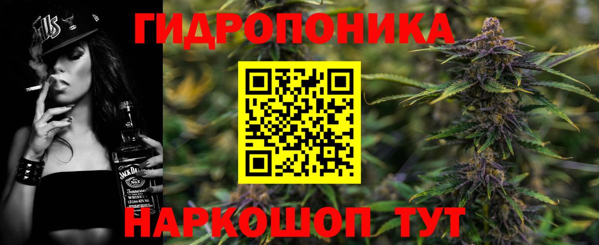 Бошки марихуана ГИДРОПОН  Бошки марихуана планчик  Шишки марихуана марихуана  Мирный  Вход с VPN 